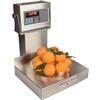 Pennsylvania Scale 6276-25 Legal for Trade 12 x 14 in Counting Scale 25 x 0.005 lb Pennsylvania Scale 6276-2