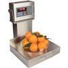 Pennsylvania Scale 6276-50 Legal for Trade 12 x 14 in Counting Scale 50 x 0.01 lb Pennsylvania Scale 6276-5