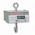 Detecto HSDC-200 Legal for Trade Hanging Scale, 200 x 0.1 lb