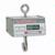 Detecto HSDC-20Kg Legal for Trade Hanging Scale, 20 x 0.01 kg