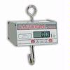 Detecto HSDC-40KG Legal for Trade Hanging Scale, 40 x 0.02 kg