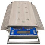 Intercomp AX900 & AX920 Axle Scales With Ramps