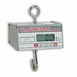 Detecto HSDC-100KG Legal for Trade Hanging Scale, 99.95  x 0.05 kg