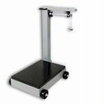 Detecto 854F-50P Mechanical Platform Scale Legal for Trade - 500  x 0.25 lb