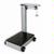 Detecto 854F-100PK Mechanical Platform Scale Legal for Trade - 1000 x 0.5 lb