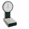 Detecto 1106DKK Mechanical Platform Dial Scale Legal for Trade, 150 kg x 250 g