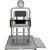 Health O Meter 2500CKL-BT Digital Wheelchair Scale with Fold Away Seat and Built-in Pelstar Wireless Technology 1000 lb x 0.2 lb