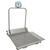HealthOMeter 2600KG Digital Wheelchair Scale KG Only 454 x 0.1 kg