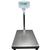 Adam Equipment GFK-165a-USB  Floor Check Weighing Scales, 165 x 0.01lb