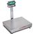 Detecto EB-300-185B Rival Stainless Steel Legal for Trade Bench Scale 300 x 0.1 lb