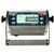 MSI 158427 8000HD Meter/2 A/D Inputs/85-265 VAC (non RF)