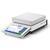 Mettler Toledo® XPR8001S/A Excellence Precision Balance Legal for Trade 8100 x 0.1 g