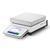 Mettler Toledo® XSR6001S/A Excellence Precision Balance Legal for Trade 6100 x 0.1 g  