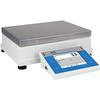 RADWAG PM 35.4Y High Capacity Precision Balance 35 kg x 0.1 g