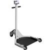 Pennsylvania Scale Drum Bunny-Weigh and Roll Scale Stainless Steel 1000 x 0.2 lb Pennsylvania Scale Drum B