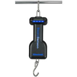 Salter Brecknell ES-55 ElectroSamson Digital Hanging Scales, 55 lb