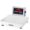 Doran 22100CW/12-ABR Checkweighing 12 X 12 Scale With Attachment Bracket 100 x 0.02 lb