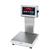 Doran 2202CW-C14 10 x 10 Checkweighing Scale 2 x 0.0005 lb