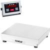 Doran 43250/18S Legal for Trade 18 X 18 Checkweighing Scale 250 x 0.05 lb
