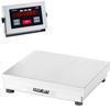 Doran 43250/2424 Legal for Trade 24 X 24 Checkweighing Scale 250 x 0.05 lb