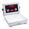 Doran 4310-ABR Checkweigh