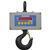 Cambridge CSW-10AT-CS-2K  Legal for Trade Crane Scale  2000 X 0.5 lb