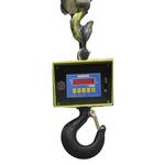 Cambridge CSW-10AT-CS-AS All Steel Legal for Trade Crane Scales