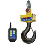 Cambridge ASCS-15AT Heavy Duty Crane Scales ASCS-15AT