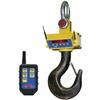 Cambridge ASCS-15AT-RFL-5K Heavy Duty Crane Scale with Radio Frequency Link  5000 x 1 lb