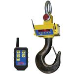 Cambridge ASCS-15AT-RFL Heavy Duty Radio Frequency Crane Scales CSW-10AT-CS-AS