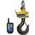 Cambridge ASCS-15AT-RFL-50K Heavy Duty Crane Scale with Radio Frequency Link 50000 x 10 lb