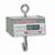 Detecto HSDC-20 Legal for Trade Hanging Scale, 20 x 0.01 lb