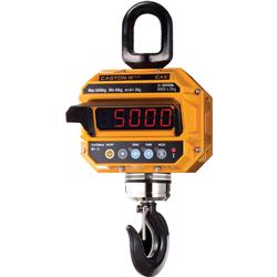 CAS digital crane scales