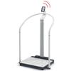 Seca ONSHMINTNN 654 EMR-Validated Handrail Scale with ID-Display - 800 lbs x 0.1 lbs