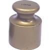 Ohaus General Purpose Brass (Slightly Used) Individual Cylinder Calibration Weight - 100g 