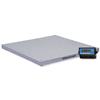 Salter DSB Floor Scales