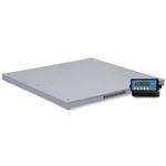 Salter Brecknell DSB-Series Legal for Trade Floor Scales