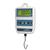 Best Weight HS-6 Digital Hanging Legal for Trade Scale, 6 x 0.005 lb