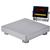 LP Scale LP7615-1010-6 Legal for Trade 10 x 10 inch  Bench Scale 6 x 0.001 lb