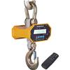 LP Scale LP7650C-3 LCD Heavy Duty Crane Scale 3000 x 0.5 lb