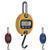 LP Scale LP7652B-300 ABS Housing Mini Crane Scale (colors may vary) 300 x 0.1 lb