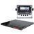 Rice Lake 380-67618 Roughdeck Floor Scale 4 ft x 4 ft Legal for Trade with 380 Indicator - 2000 x 0.5 lb