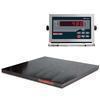 Rice Lake 480-66314 Roughdeck Floor Scale 4 ft x 5 ft Legal for Trade with 480 Indicator - 5000 x 1 Rice Lake 480-66314 Rough