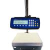 Setra 4091651NB Super II Checkweigher Scale Includes Backlight  and Battery Option 27 lb x 0.0005 lb