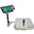 Tree PIZA-12+  NSF Certified 12.4 x 12.7 inch Wireless Bench Scale 12 x 0.002 lb