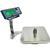 Tree PIZA-25+  NSF Certified 12.4 x 12.7 inch Wireless Bench Scale 25 x 0.005 lb