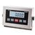 Doran 8100IS Intrinsically Safe Indicator