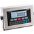 Doran 8200IS Intrinsically Safe Indicator