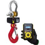 Ron 2501 Crane Scales Ron 2501H