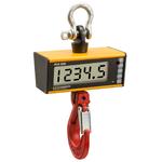 Ron 3050 Crane Scales Ron 3050